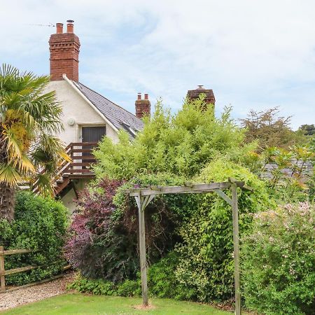 Apartamento Fig Trees - Wibble Farm Williton Exterior foto