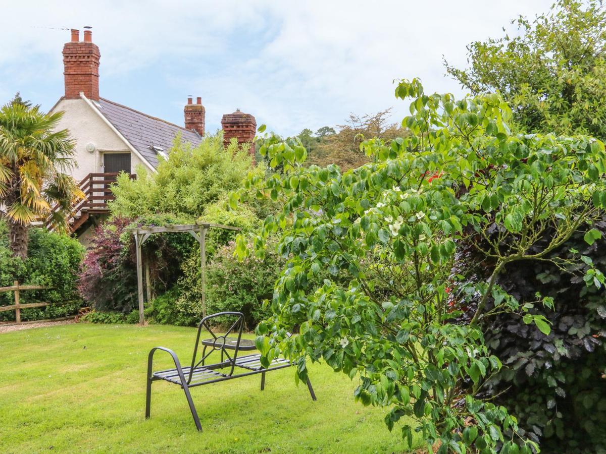 Apartamento Fig Trees - Wibble Farm Williton Exterior foto