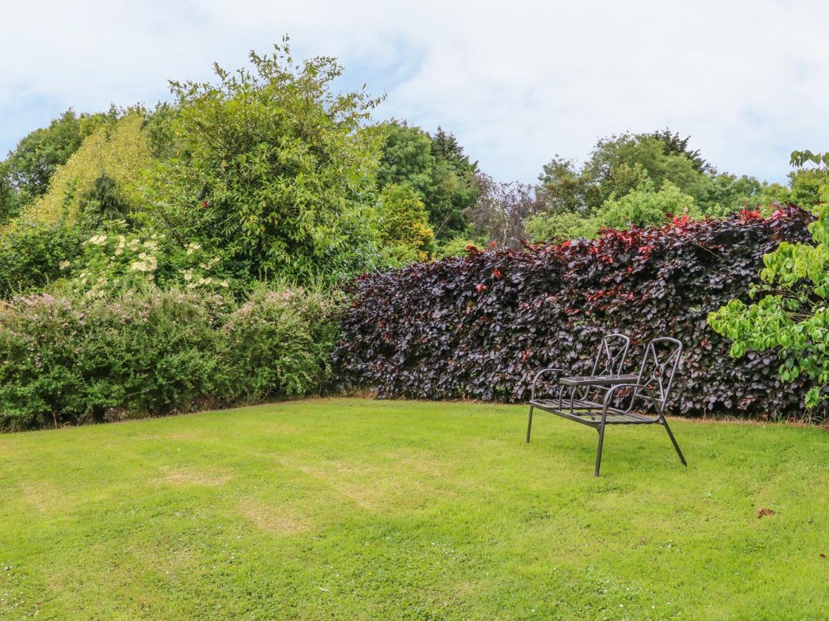 Apartamento Fig Trees - Wibble Farm Williton Exterior foto